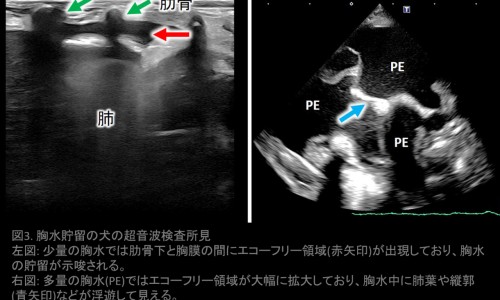 孕妇梦到剖腹产是女孩子-权威孕妇梦到剖腹产是女孩还是男孩平台,分享专业孕妇梦见刨腹产生宝宝知识_孕妇梦到剖腹产是女孩网